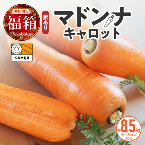 ＜フジテレビ『どっちのふるさと？』で紹介されました！＞ 福箱★2026 訳あり 野菜 にんじん マドンナキャロット 8.5kg 大小サイズ混合 国産 不揃い こどもも食べられる 甘み 料理 キャロット ジュース 野菜ジュース 福袋 愛知県 碧南市 お取り寄せ 送料無料 H105-168 1132672 - 愛知県碧南市