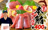【2023年12月配送】 訳あり 本まぐろ 中とろ 刺身用 約400g 不定型柵 本鮪 まぐろ 中トロ 解凍 鮪 漬け マグロ ユッケ 海鮮 本マグロ