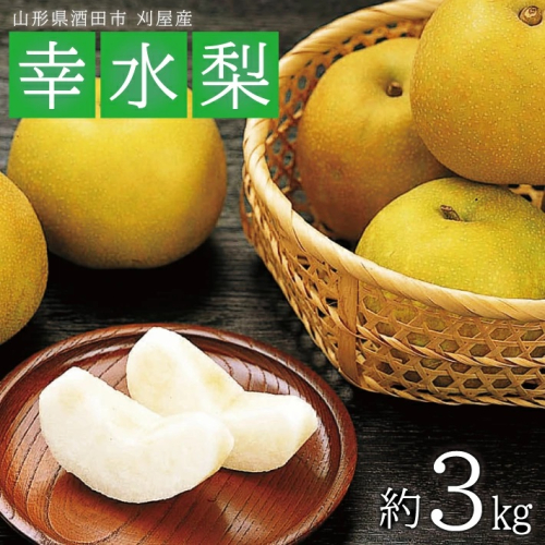 SA2563　酒田の果物専門店厳選　刈屋産 幸水梨　約3kg(7～9玉入) 113306 - 山形県酒田市