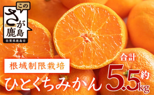【１２月頃お届け】鹿島みかん　 根域制限栽培一口みかん 約５.５ｋｇ A-178
