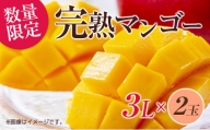 ≪数量限定≫完熟マンゴー(3Lサイズ×2玉) フルーツ 果物 国産_DD8-23