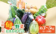 大村産とれたてお野菜おまかせセット(8〜10種) 大村市 かとりストアー [ACAN015]