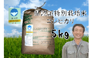 【6か月定期便】特別栽培米 コシヒカリ 5kg×6回 新潟県認証 1G15060