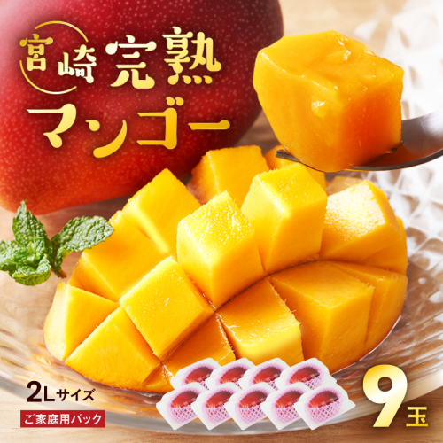 完熟マンゴー ２L×９玉（パック）【濃厚 宮崎 高級 果物 フルーツ 贈答 ギフト 甘い 送料無料 先行受付】 113398 - 宮崎県綾町