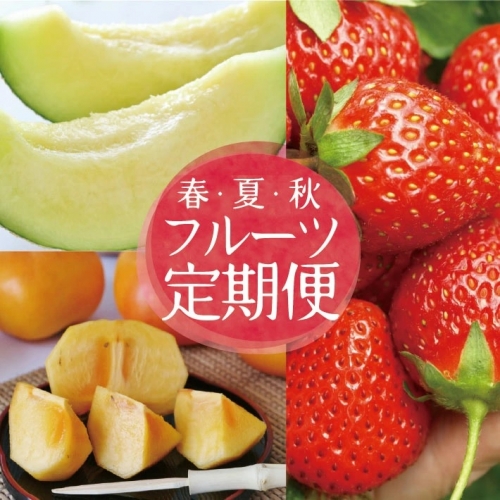SC0344 【3回定期便】自然の恵み 春・夏・秋フルーツ定期便 (いちご、青肉メロン、柿) 113427 - 山形県酒田市