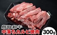 728．鳥取和牛 中落ちカルビ焼肉（300g）※離島への配送不可