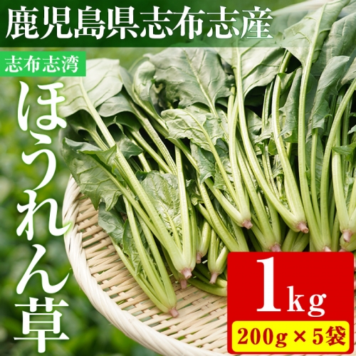 p8-102【数量限定】志布志湾ほうれん草(200g×5袋 合計1kg) | au PAY ふるさと納税