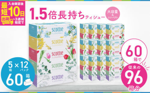 スコッティ ティシュー フラワーボックス 250組 60箱（5箱×12パック）【入金確認後、最短10日～3週間程度で発送】  |  大容量 長持ち コンパクト ティッシュペーパー 日用品 雑貨 大人気 日本製 日用品 ふるさと納税 ティッシュ ティッシュペーパー ふるさと納税 ティッシュ 箱 日用品 必需品 大容量 リピート 高品質 クオリティ かわいい 素敵 保管 消耗品 埼玉県 草加市 