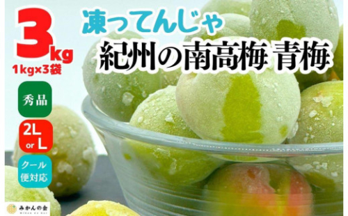 【2026年7月上旬～出荷予定】梅 冷凍 青梅 南高梅 3kg ( 1kg × 3袋 ) 秀品 2L or Lサイズ 和歌山県産 紀州有田  【みかんの会】 1135274 - 和歌山県有田川町