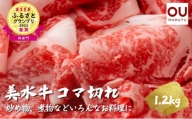 美水牛コマ切れ１２００ｇ（４００ｇ×３）　（冷凍品） [№5337-0078]