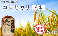 【毎月定期便3回】コシヒカリ 米 5kg 新川耕地 玄米