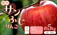 のし付き りんごの王様「サンふじ」 約5kg (10～18玉)