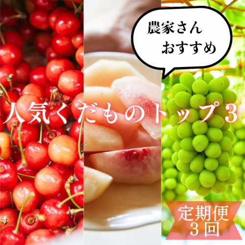【定期便3回】農家さんおすすめ ～人気くだものトップ３！【令和8年産先行予約】FU23-702 1135719 - 山形県山形市