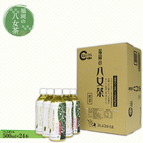 CZ001 福岡の八女茶　煎茶ペットボトル(500ml)×24本 113578 - 福岡県篠栗町
