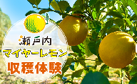 瀬戸内マイヤーレモン収穫体験【株式会社神東ファーム】