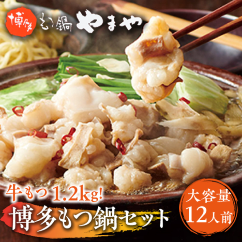 【大容量】もつ鍋セット　牛もつたっぷり計1.2kg！　博多もつ鍋やまや　国産牛もつ　篠栗町本社　AZ040 113600 - 福岡県篠栗町