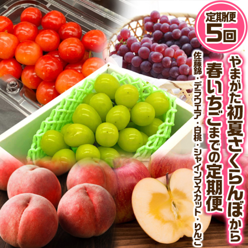 【定期便5回】やまがた ”初夏さくらんぼから冬りんご”までの5回定期便(佐藤錦・デラウエア・白桃・シャインマスカット・りんご) 【令和8年産先行予約】FS24-531 1136415 - 山形県山形市
