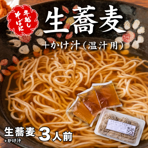 ＜12/31着（時間指定不可）＞年越しそばに！生蕎麦３人前＋かけ汁（温汁用出汁）３人前 年越しそば 年越そば 年越し蕎麦 年越蕎麦 そばセット 蕎麦 ふるさと納税年越しそば 家族年越しそば 老舗 送料無料 1136417 - 大阪府河内長野市