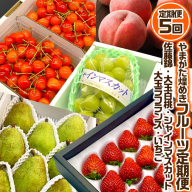 【定期便5回】やまがた 煌めきフルーツ定期便(佐藤錦・大玉白桃・シャインマスカット・大玉ラ・フランス・いちご)【令和8年産先行予約】FU23-845