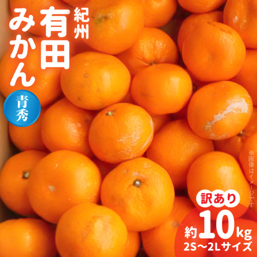 BB6210_紀州 有田みかん 約10kg 2S～2Lサイズいずれか【訳あり 家庭用】【青秀・良】 1136512 - 和歌山県湯浅町