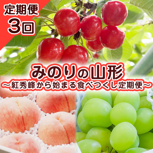 【定期便3回】みのりの山形～紅秀峰から始まる食べつくし定期便～ 【令和8年産先行予約】FS23-707 1136515 - 山形県山形市