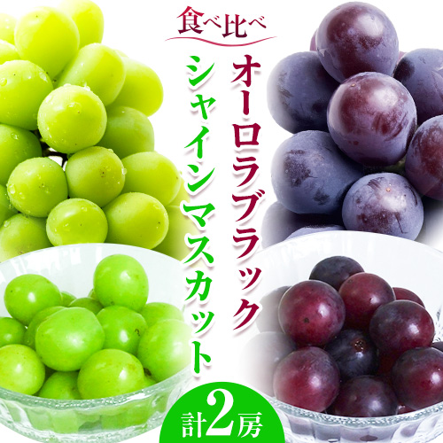 ぶどう 葡萄 岡山県産 シャインマスカット オーロラブラック 計2房 (各1房ずつ 各550～600g) 佐々木農園《8月中旬-9月末頃出荷》岡山県 笠岡市 送料無料 マスカット フルーツ 果物 ブドウ オーロラ ブラック お取り寄せフルーツ【配送不可地域あり】 113678 - 岡山県笠岡市