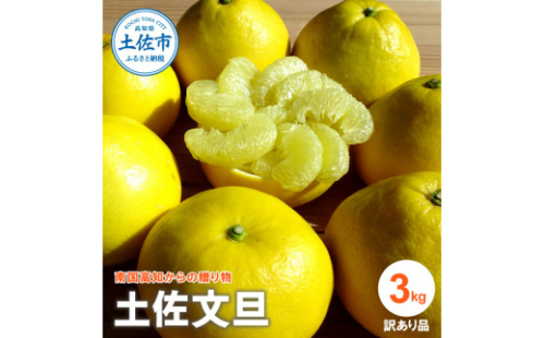 『南国高知からの贈り物』土佐文旦 【訳あり（家庭用）】3kg 5玉～7玉入 1136863 - 高知県土佐市