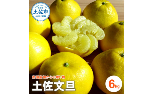 『南国高知からの贈り物』土佐文旦 6kg  1136864 - 高知県土佐市
