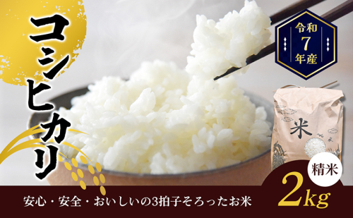 令和6年産香川県産コシヒカリ2kg(精米) お米 1137379 - 香川県東かがわ市