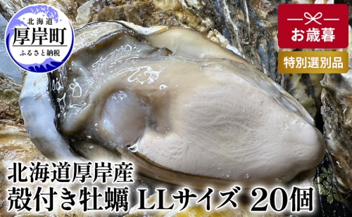 北海道 厚岸産 殻付き 牡蠣 LLサイズ 20個 お歳暮 特別選別品 1137479 - 北海道厚岸町