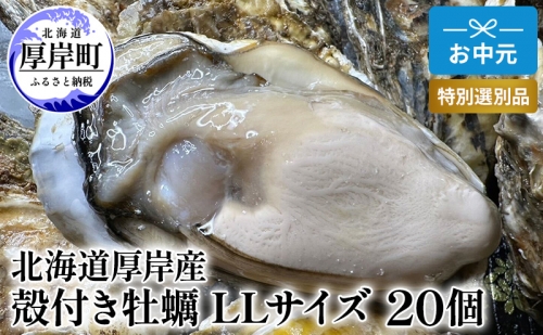 北海道 厚岸産 殻付き 牡蠣 LLサイズ 20個 お中元 特別選別品 1137480 - 北海道厚岸町