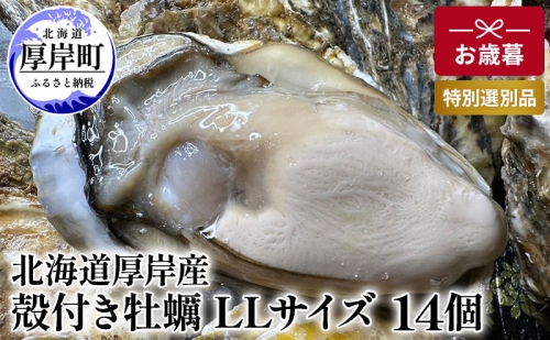 北海道 厚岸産 殻付き 牡蠣 LLサイズ 14個 お歳暮 特別選別品 1137481 - 北海道厚岸町