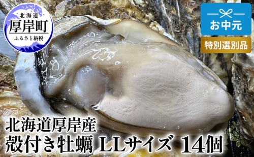 北海道 厚岸産 殻付き 牡蠣 LLサイズ 14個 お中元 特別選別品 1137482 - 北海道厚岸町