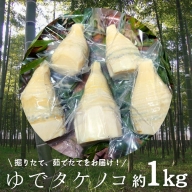 新鮮な ゆで タケノコ 1kg 竹の子 1キロ 筍 たけのこ 水煮 真空パック 国産 たけのこご飯