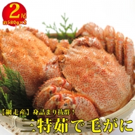 身詰まり抜群！三特茹で毛がに　約580g×2尾 ＜網走産＞■