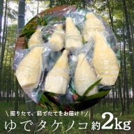 新鮮な ゆで タケノコ 2kg 竹の子 2キロ 筍 たけのこ 水煮 真空パック 国産 たけのこご飯