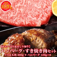 ハンバーグ・すき焼き肉セット総重量1120ｇ ＜網走産＞【オホーツクあばしり和牛】