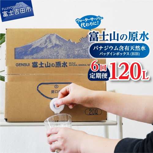 【6か月お届け】バナジウム天然水定期便 富士山の原水 20L BIB 113821 - 山梨県富士吉田市