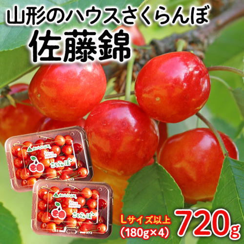 山形のハウスさくらんぼ 佐藤錦 720g(180g×4パック) Lサイズ以上 【令和8年産先行予約】FS25-510 1138417 - 山形県山形市