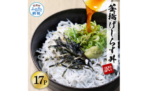 KGP033-W 訳あり高知県産釜揚げしらす 50g×17パック(小分け) 1138962 - 高知県芸西村