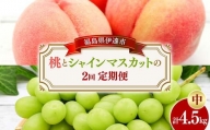 桃とシャインマスカットの定期便（中） 福島の桃 果物 先行予約 フルーツ 桃 モモ もも 葡萄 ブドウ ぶどう 福島県 伊達市 もも モモ momo F20C-786
