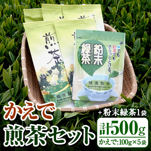 No.616 鹿児島県産の煎茶セット「かえで」かえで(100g×5袋)と粉末緑茶(1袋)【世献 榎園製茶】 113936 - 鹿児島県日置市