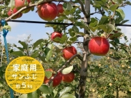 信州小諸・福井りんご園のサンふじりんご（家庭用）約5kg 果物類 林檎 りんご リンゴ サンふじ 家庭用