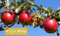 信州小諸・福井りんご園のサンふじ 秀品 約5kg 果物類 林檎 りんご リンゴ サンふじ
