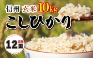 【定期便12回】信州米 こしひかり 玄米 10kg 長野県産