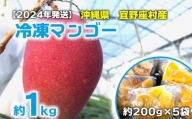 [2024年発送]沖縄県 宜野座村産 冷凍マンゴー約1kg
