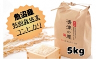 【令和５年産】魚沼産特別栽培米コシヒカリ［清津の恵］精米5kg