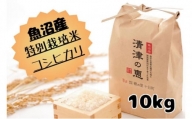 【令和５年産】魚沼産特別栽培米コシヒカリ［清津の恵］精米10kg（5kgx2袋）