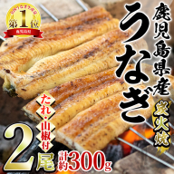 【0174320a】東串良町のうなぎ炭火白焼(無頭)(2尾・計約300g・タレ、山椒付) うなぎ 高級 ウナギ 鰻 国産 白焼き 鹿児島 ふるさと 人気【アクアおおすみ】