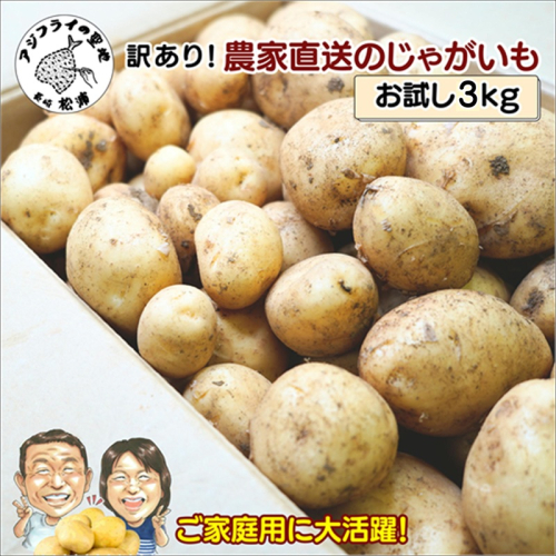 訳あり！農家直送のじゃがいも お試し3kg ( 訳あり じゃがいも いも 肉じゃが サラダ フライドポテト カレー シチュー 煮物 )【A6-042】 1140171 - 長崎県松浦市